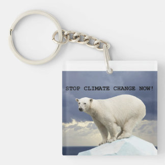 Polar Bear Stop Climate Change Now!  Keychain