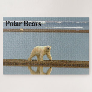 Polar Bear Stroll Jigsaw Puzzle