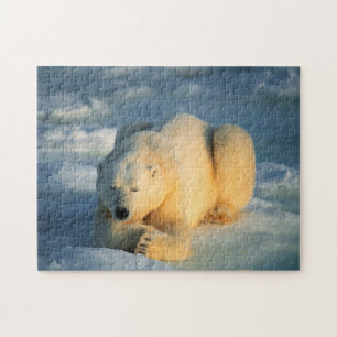 Polar Bear Sunbathing, Jigsaw Puzzle