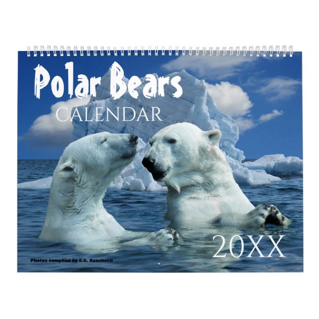 Polar Bear Themed 2027 Wall Calendar Gift (Cover)