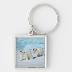Polar bear, two cups on pack ice, Ursus Keychain