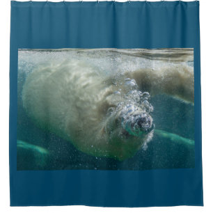 Polar bear underwater