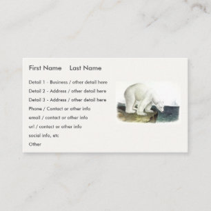 Polar Bear (Ursus Maritimus), Audubon's Quadrupeds Business Card