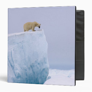 polar bear, Ursus maritimus Binder