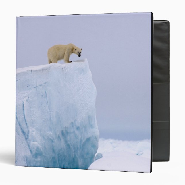 polar bear, Ursus maritimus Binder (Front/Inside)
