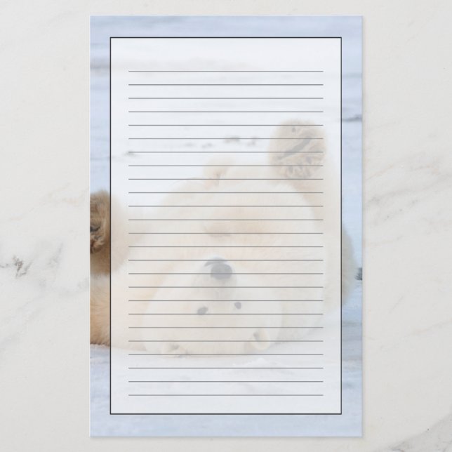 polar bear, Ursus maritimus, cub rolling 3 Stationery (Front)