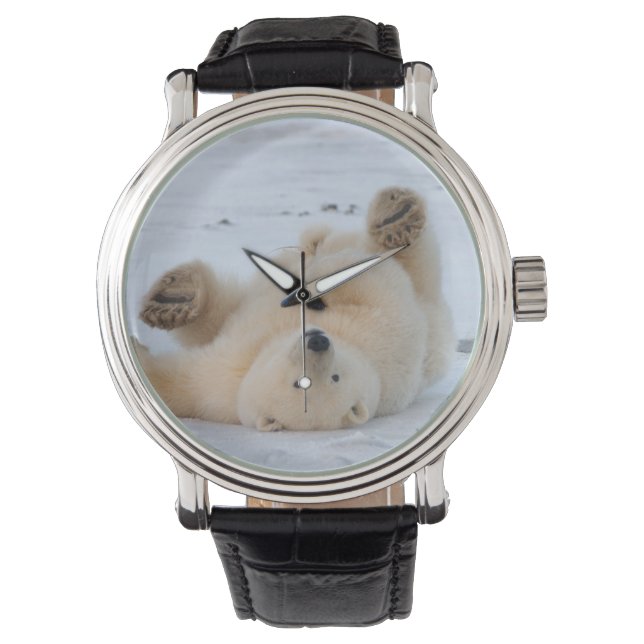 polar bear, Ursus maritimus, cub rolling 3 Watch (Front)