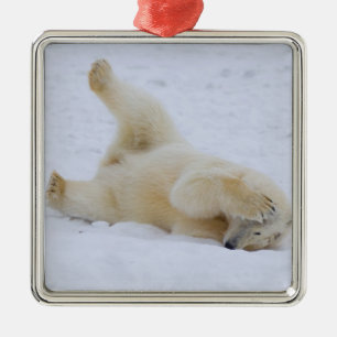 polar bear, Ursus maritimus, cub rolling Metal Ornament