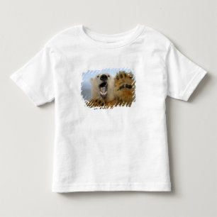 polar bear, Ursus maritimus, curiously looks Toddler T-shirt