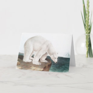 Polar Bear (Ursus maritimus) Illustration Card