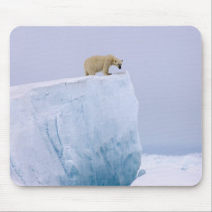 polar bear, Ursus maritimus Mouse Pad