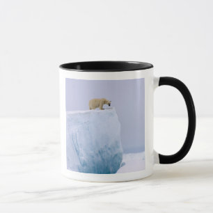 polar bear, Ursus maritimus Mug