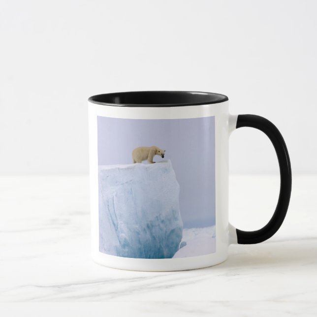 polar bear, Ursus maritimus Mug (Right)