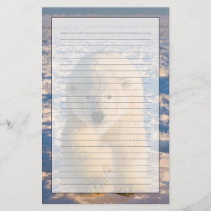 polar bear, Ursus maritimus, polar bear on ice Stationery