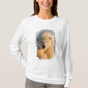 polar bear, Ursus maritimus, polar bear on ice T-Shirt