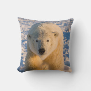 polar bear, Ursus maritimus, polar bear on ice Throw Pillow