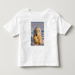 polar bear, Ursus maritimus, polar bear on ice Toddler T-shirt