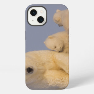 polar bear, Ursus maritimus, sow with newborn 3 iPhone 13 Case