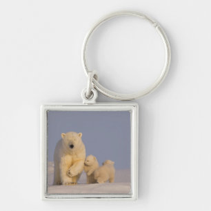 polar bear, Ursus maritimus, sow with newborn Keychain