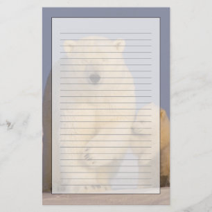 polar bear, Ursus maritimus, sow with newborn Stationery