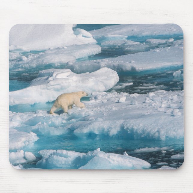 Polar Bear walking on the Sea Mouse Pad (Front)
