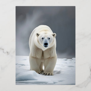 Polar Bear Wildlife Majestic Nature Life Wallpaper Foil Holiday Postcard