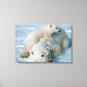 Polar_Bear_with_Cub Canvas Print