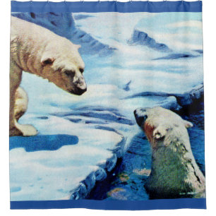polar bears