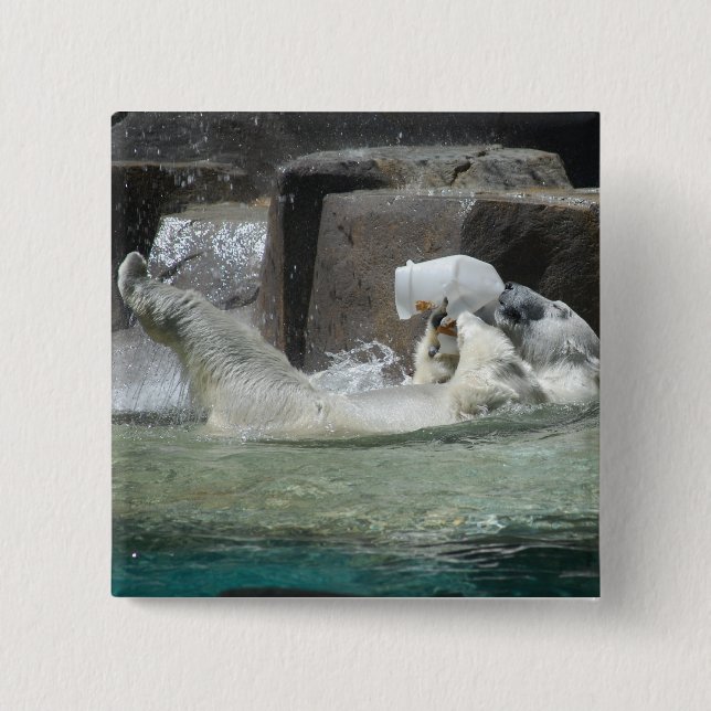 Polar Bears 2 Inch Square Button (Front)