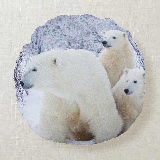Polar Bears and Two cubs Round Pillow (Front)