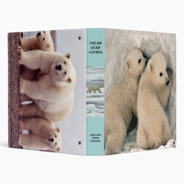 Polar bears binder (Background)