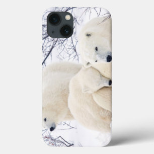 Polar Bears female and Two cubs 3 iPhone 13 Case