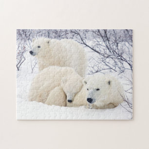 Polar Bears female and Two cubs 3 Jigsaw Puzzle