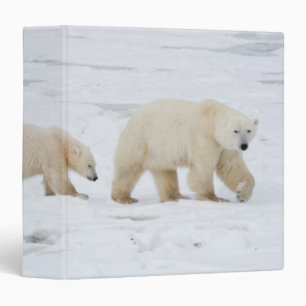 Polar Bears female and Two cubs Binder