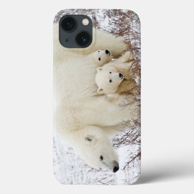 Polar Bears female and Two cubs Case-Mate iPhone Case (Back)