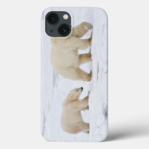 Polar Bears female and Two cubs iPhone 13 Case