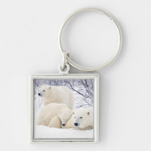 Polar Bears female and Two cubs Keychain
