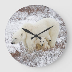 Polar Bears female and Two cubs Large Clock