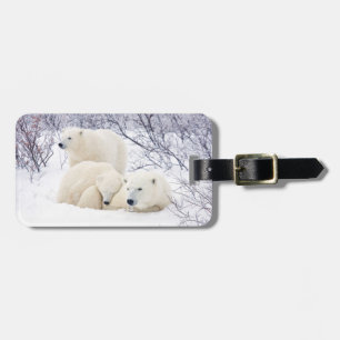 Polar Bears female and Two cubs Luggage Tag