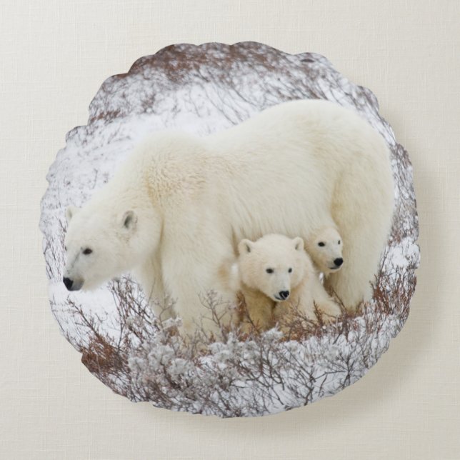 Polar Bears female and Two cubs Round Pillow (Front)