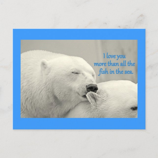 Polar Bears I Love You More....Design Postcard (Front)