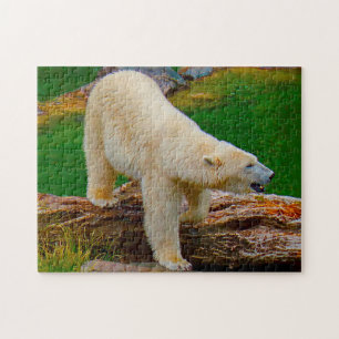 Polar Bears. Jigsaw Puzzle