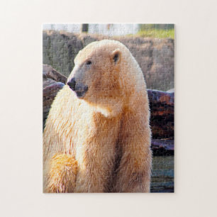 Polar Bears. Jigsaw Puzzle