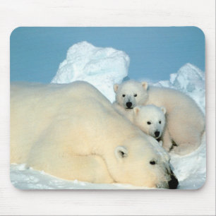 Polar Bears Mouse Pad