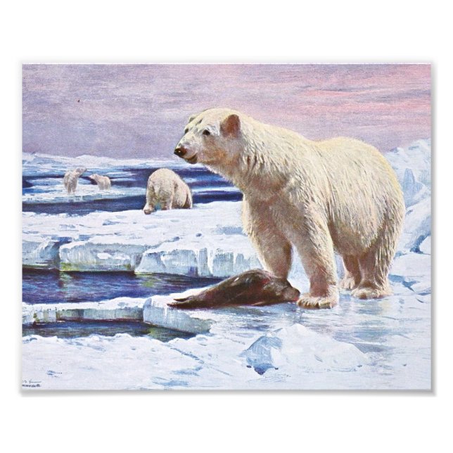 Polar Bears on Ice Floes Art Photo Print (Front)