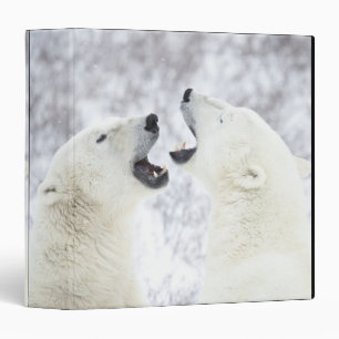 Polar Bears playing in the snow Binder