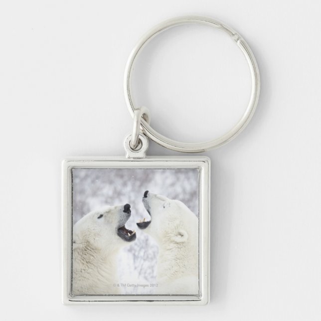 Polar Bears playing in the snow Keychain (Front)