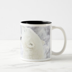 Polar Bears playing in the snow. Two-Tone Coffee Mug