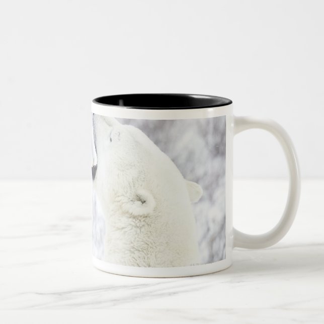 Polar Bears playing in the snow Two-Tone Coffee Mug (Right)