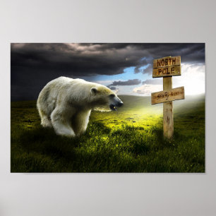 Polar bears poster